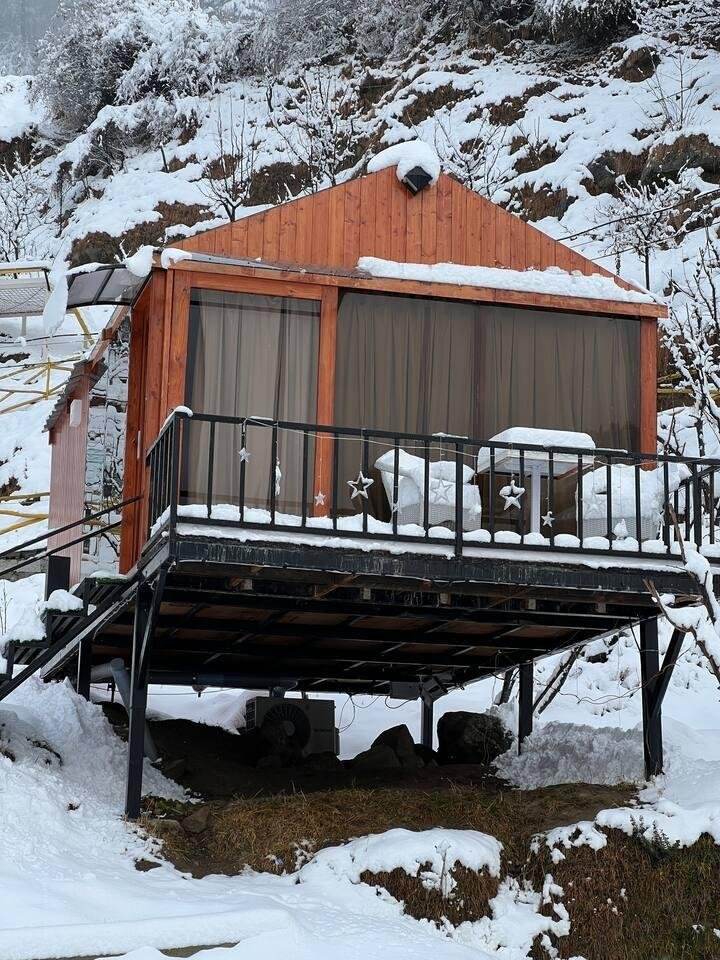 Dreamy Wood n Glass Cabin with Cafe in Forest x Solis Nature