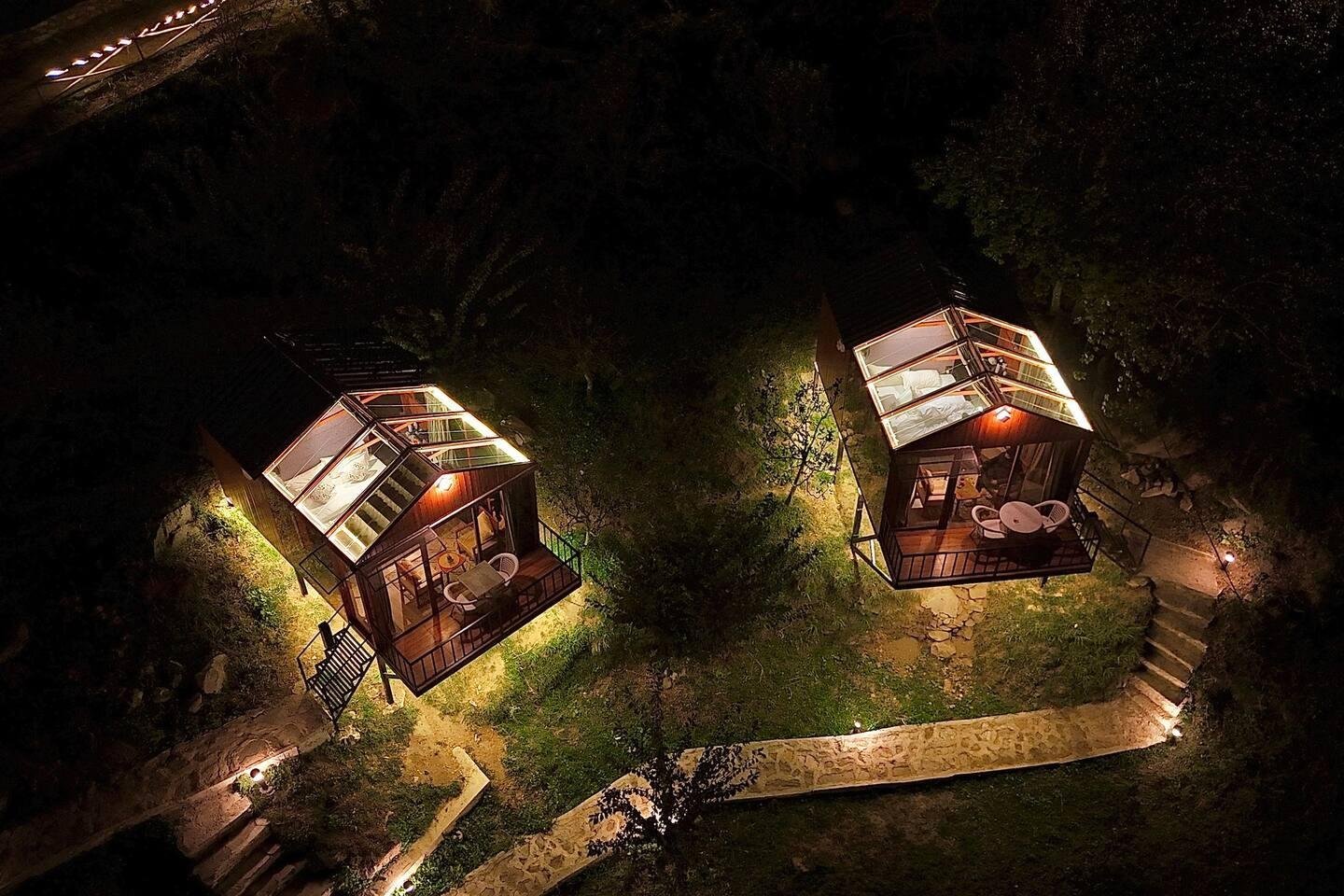 Dreamy Wood n Glass Cabin with Cafe in Forest x Solis Nature