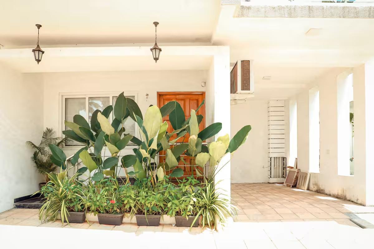 JD- 106 Apartment - 2BHK Assagao x Solis Nature
