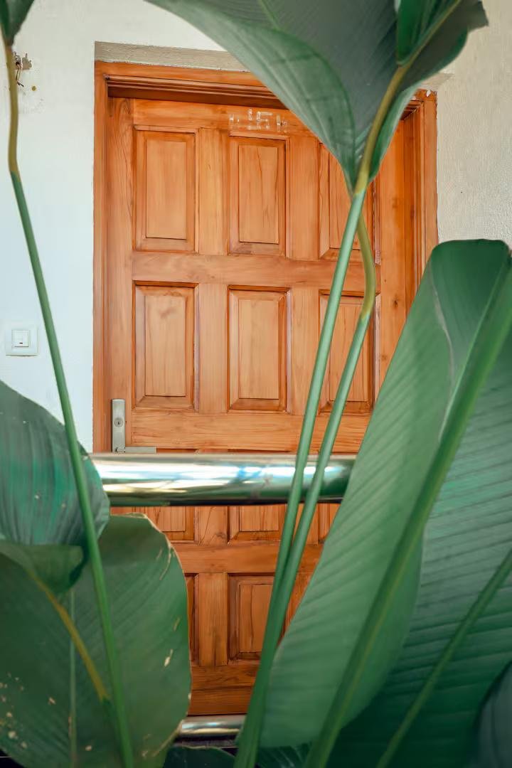 JD- 105 Apartment - 1BHK Assagao x Solis Nature