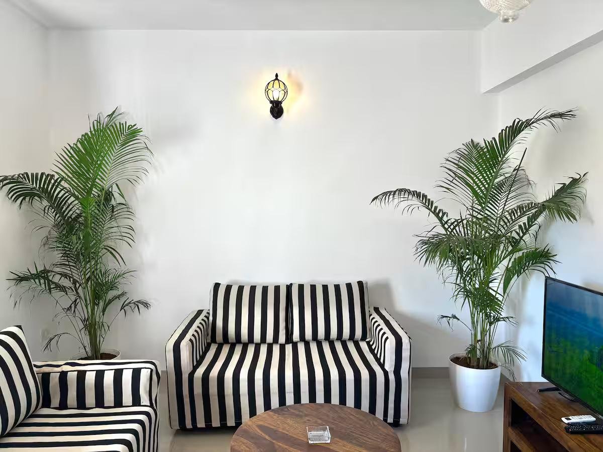 JD- 105 Apartment - 1BHK Assagao x Solis Nature