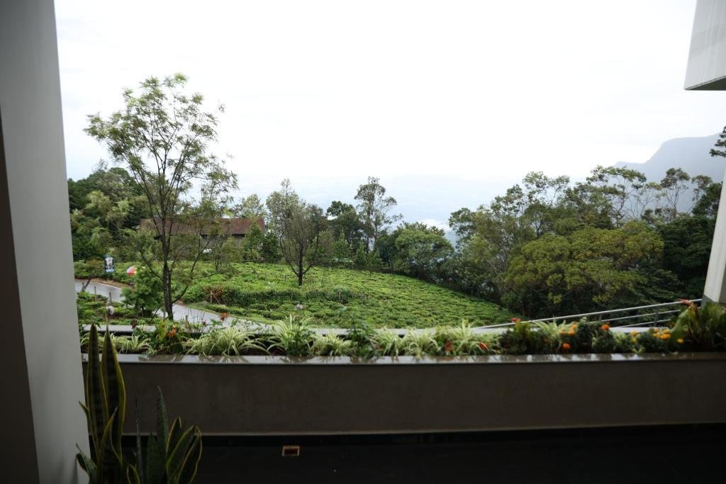 Hills and Heart Luxury stay x Solis Nature