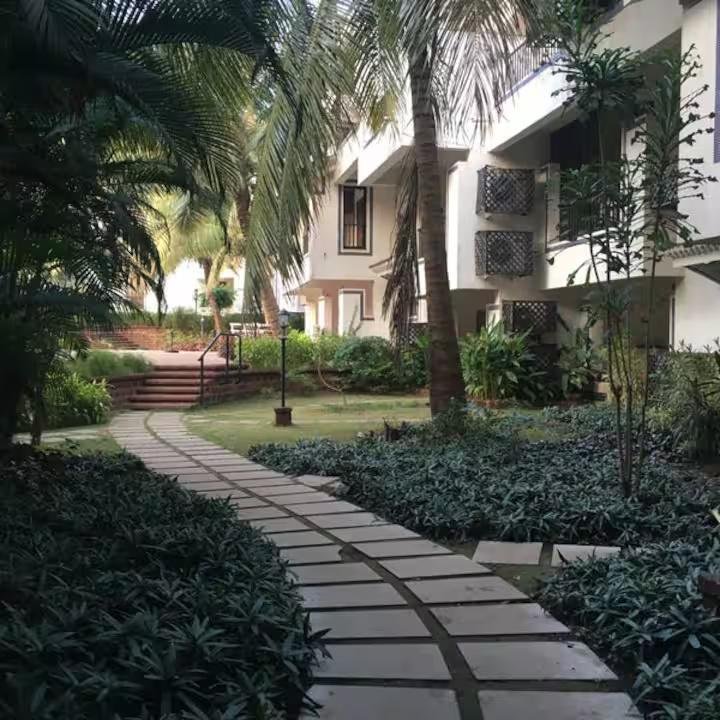 Riviera -1213 x Solis Nature
