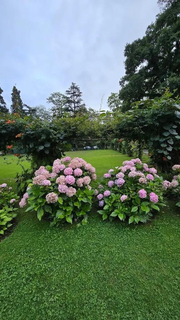 Balrampur House Heritage Hotels in Nainital x Solis Nature