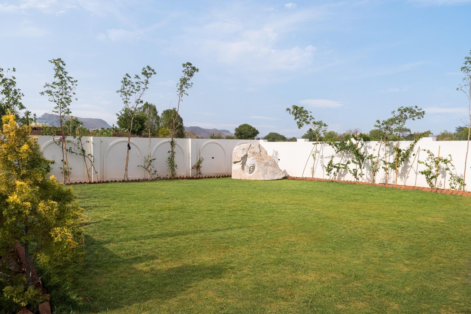 Bougain Villa x Solis Nature