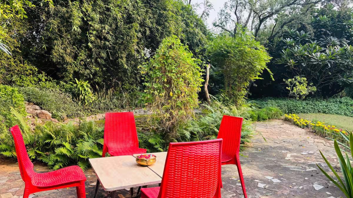 Willows Estate | 5BHK Rustic Pool Farm @ Gurgaon x Solis Nature