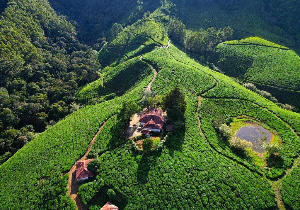 Arivikad Tea Bungalow Munnar by VOYE HOMES x Solis Nature