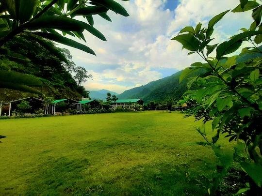 Camp Majestic x Solis Nature