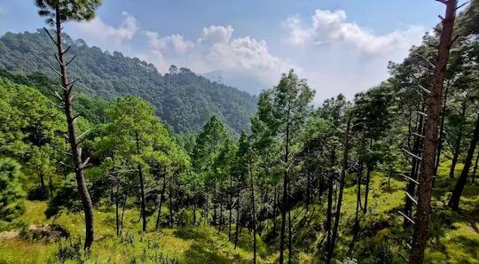 Red Roof Resort Lansdowne x Solis Nature