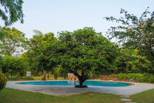 Serenity Corbett Resort x Solis Nature