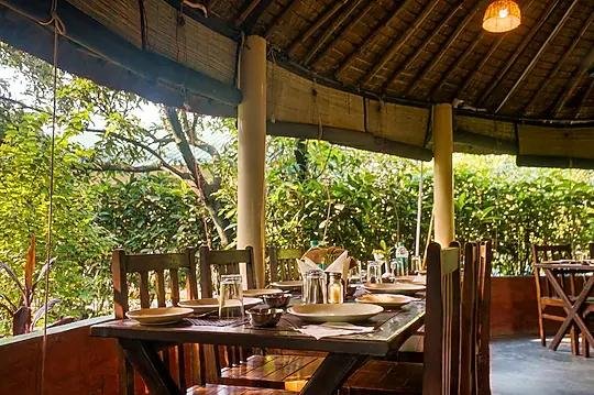 Serenity Corbett Resort x Solis Nature