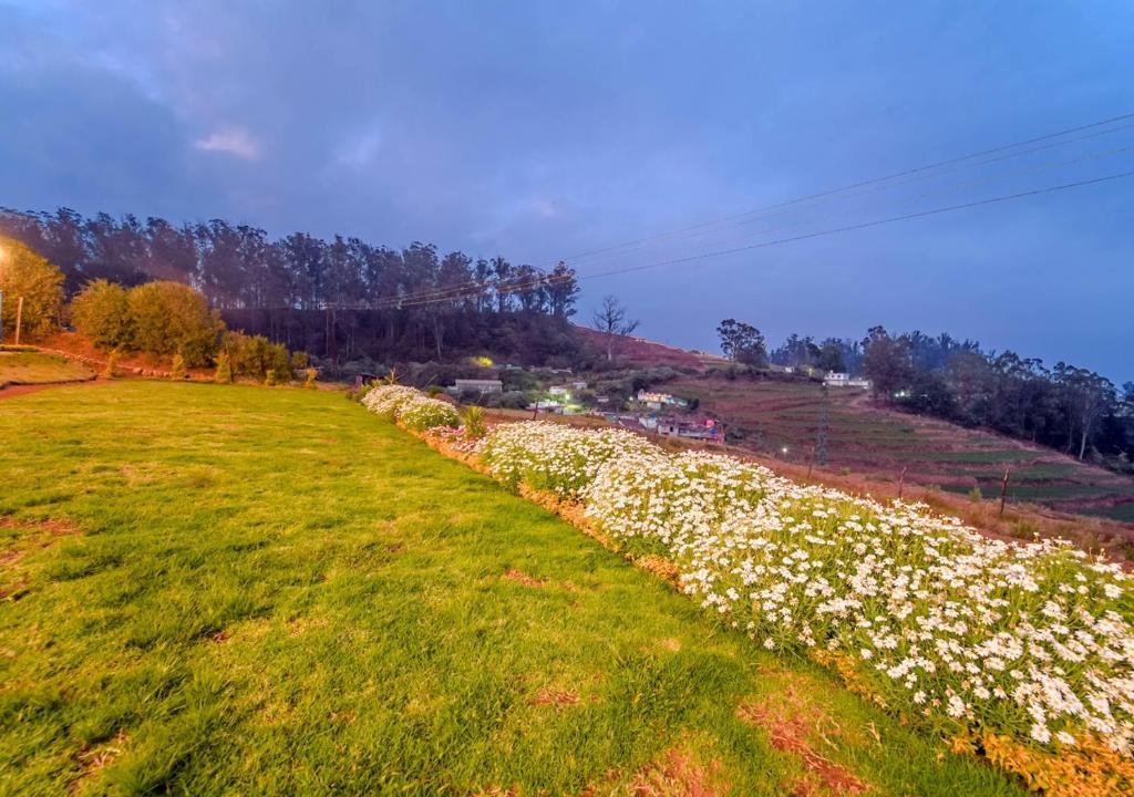 The Silent Retreat Ooty by VOYE HOMES x Solis Nature