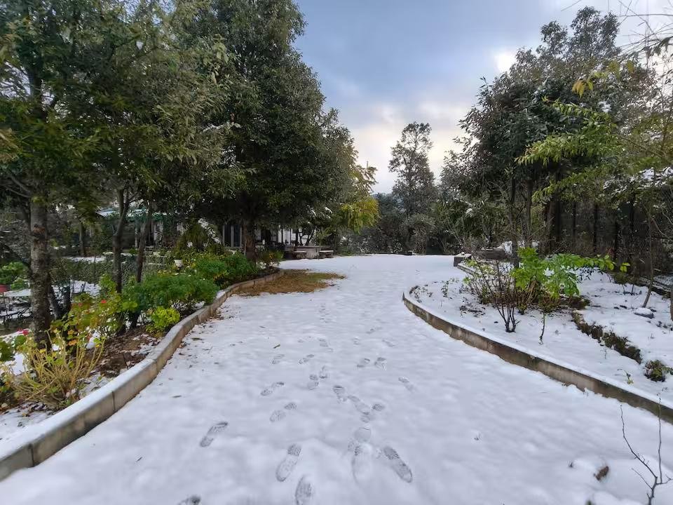 Casa Sara x Solis Nature