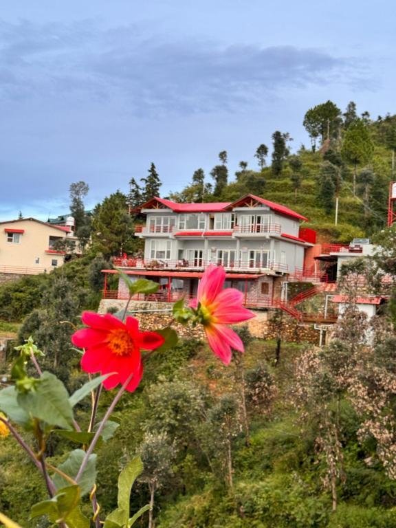 Panorama Villa homestay x Solis Nature