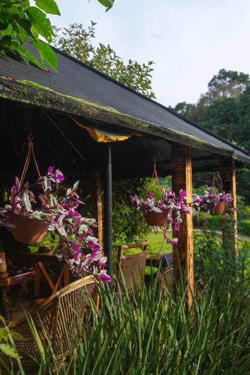 De Rock Jungle Living Resort -Plain View Room x Solis Nature