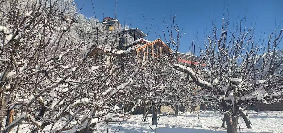 Pehlingpa Home's 3 private bedrooms x Solis Nature