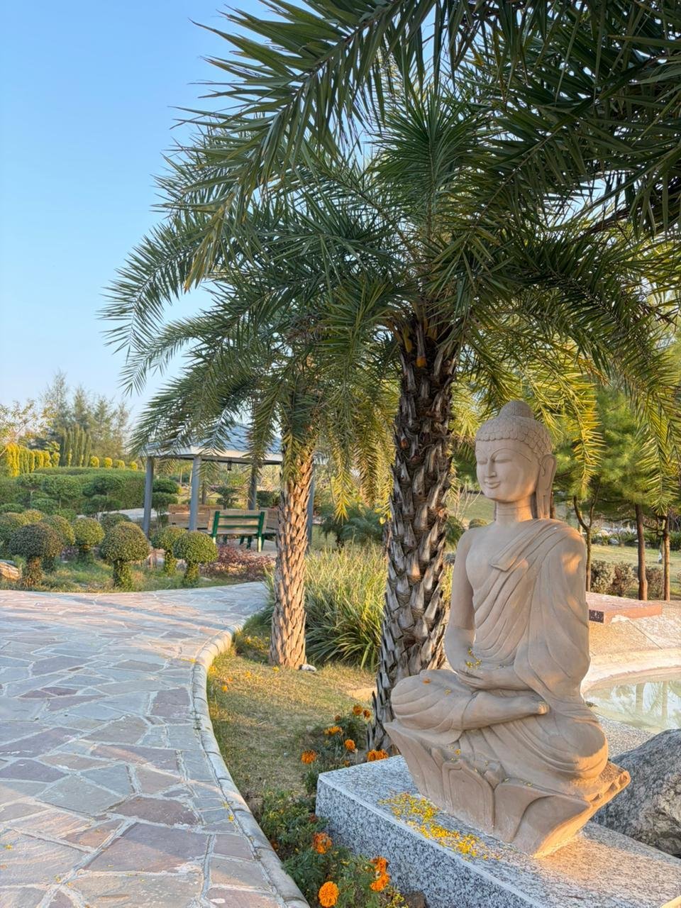 Solis Wellness Retreat x Solis Nature