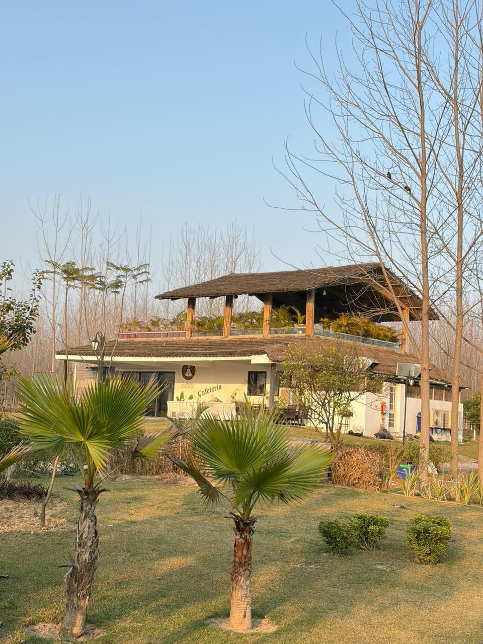 Solis Wellness Retreat x Solis Nature