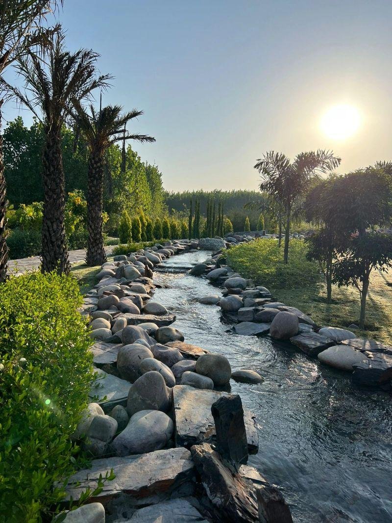 Solis Wellness Retreat x Solis Nature