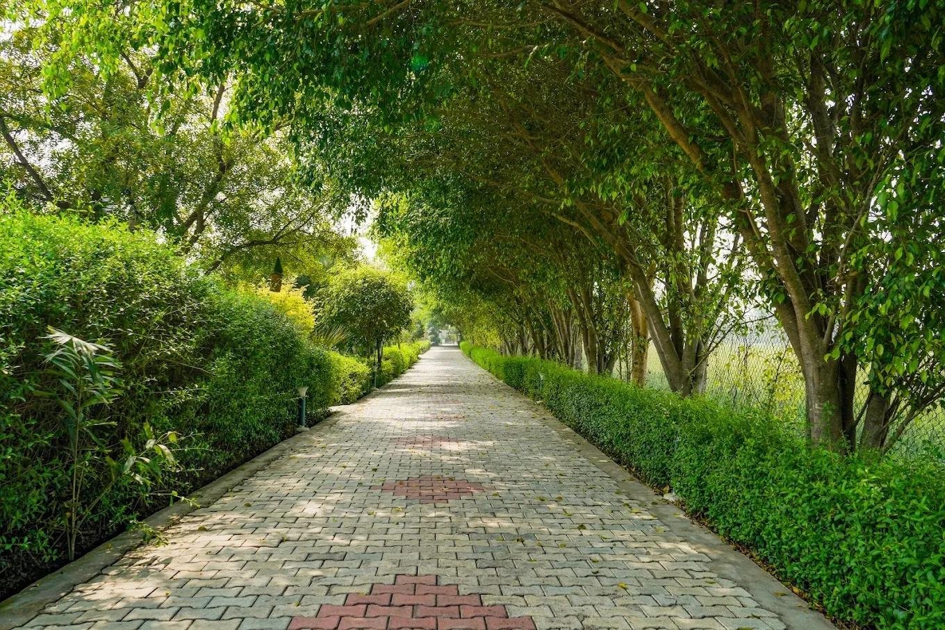 Regnum Resort- Luxury Resort in Jim Corbett x Solis Nature