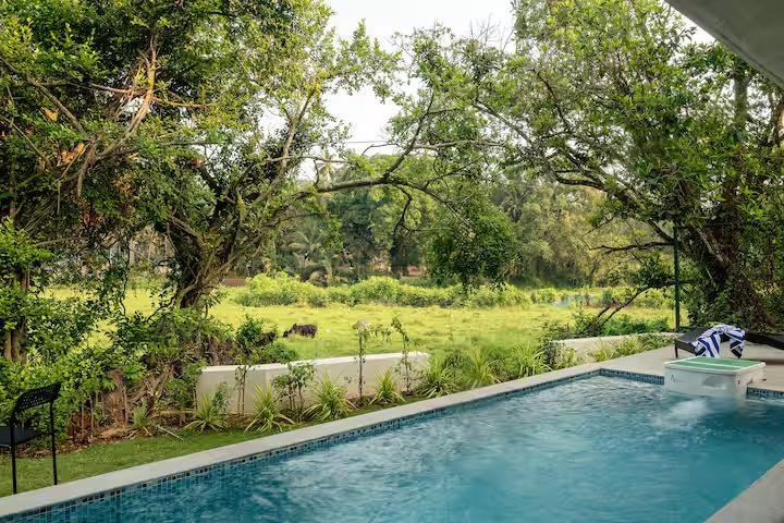 Ritali - 4 BHK Private Pool Paddy View Villa x Solis Nature