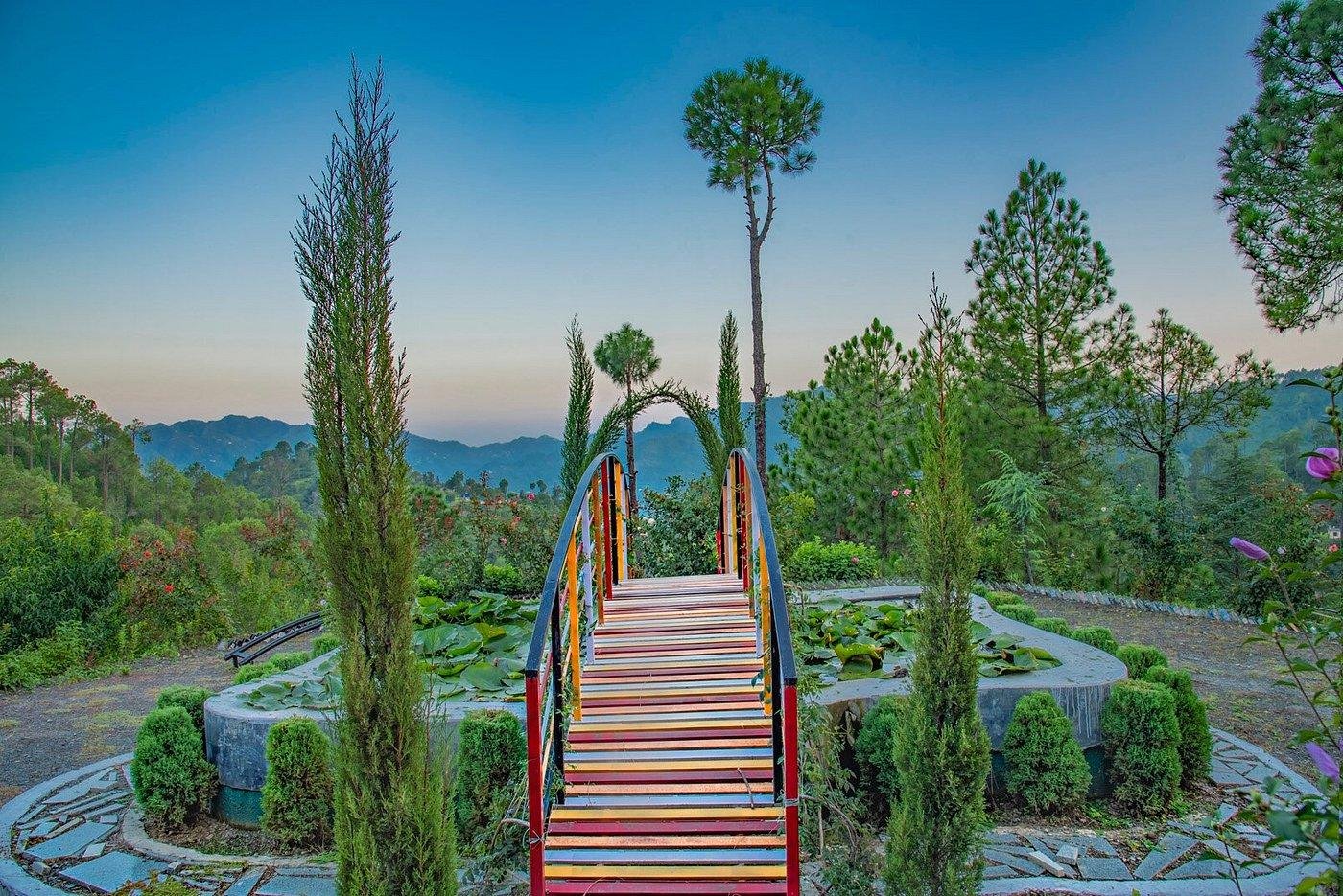 Kanishka Retreat Resort Chail x Solis Nature