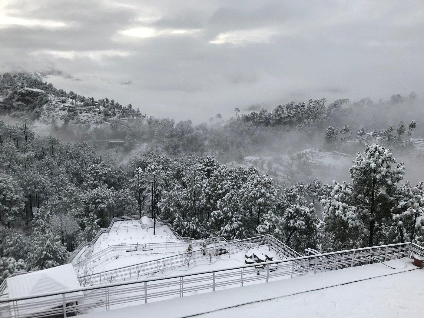Kanishka Retreat Resort Chail x Solis Nature