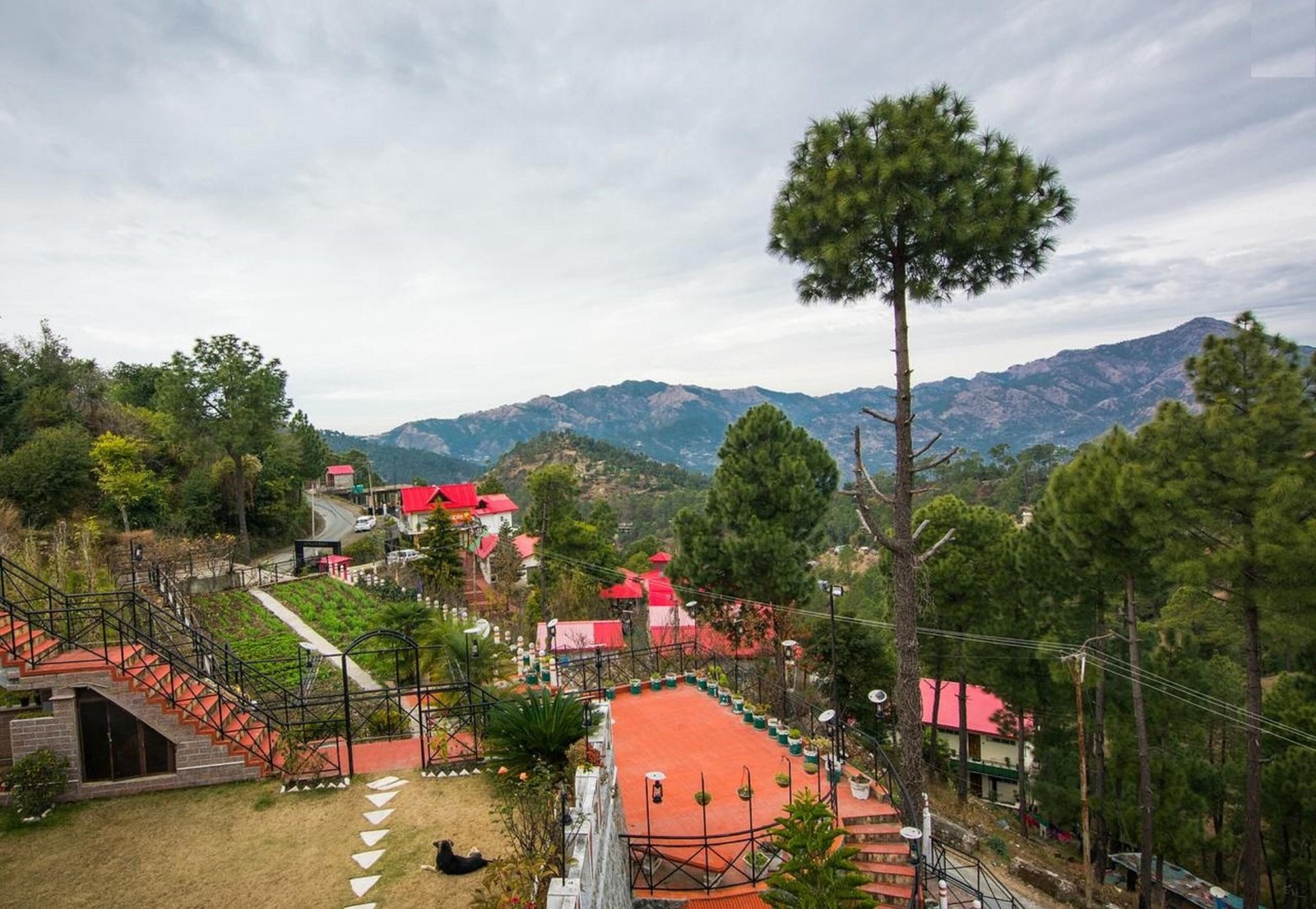 Ram Cottage Chail 3 BHK Villa x Solis Nature