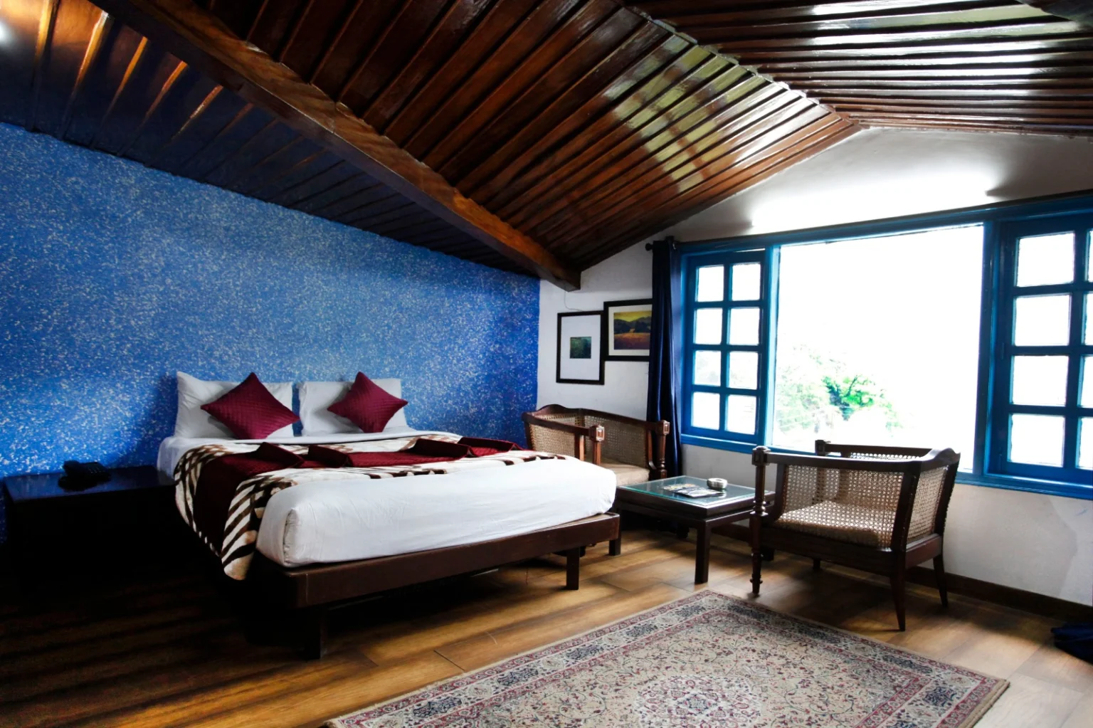 Manu Maharani  Regency Nainital x Solis Nature