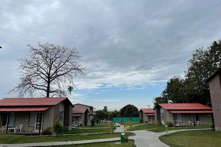 Big Mama Resort Corbett x Solis Nature