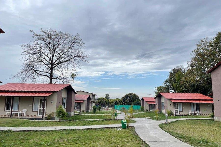 Big Mama Resort Corbett x Solis Nature