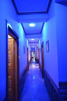 Hotel Lohaghat Regency x Solis Nature