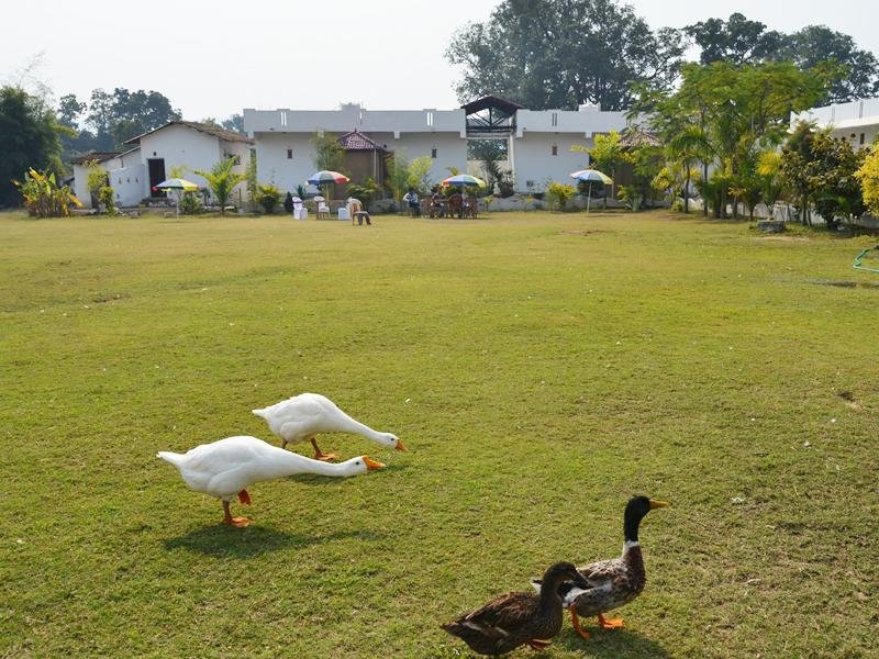 THE SUN RESORT Bandhavgarh x Solis Nature
