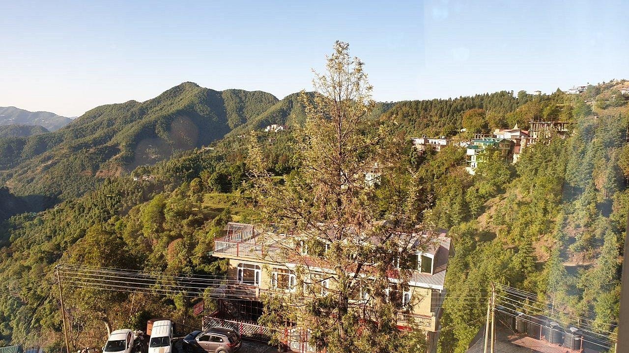 Hotel Jade Vine Resort   Shogi Shimla x Solis Nature