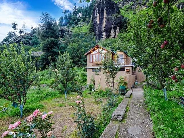 The Cliffside Soyal x Solis Nature