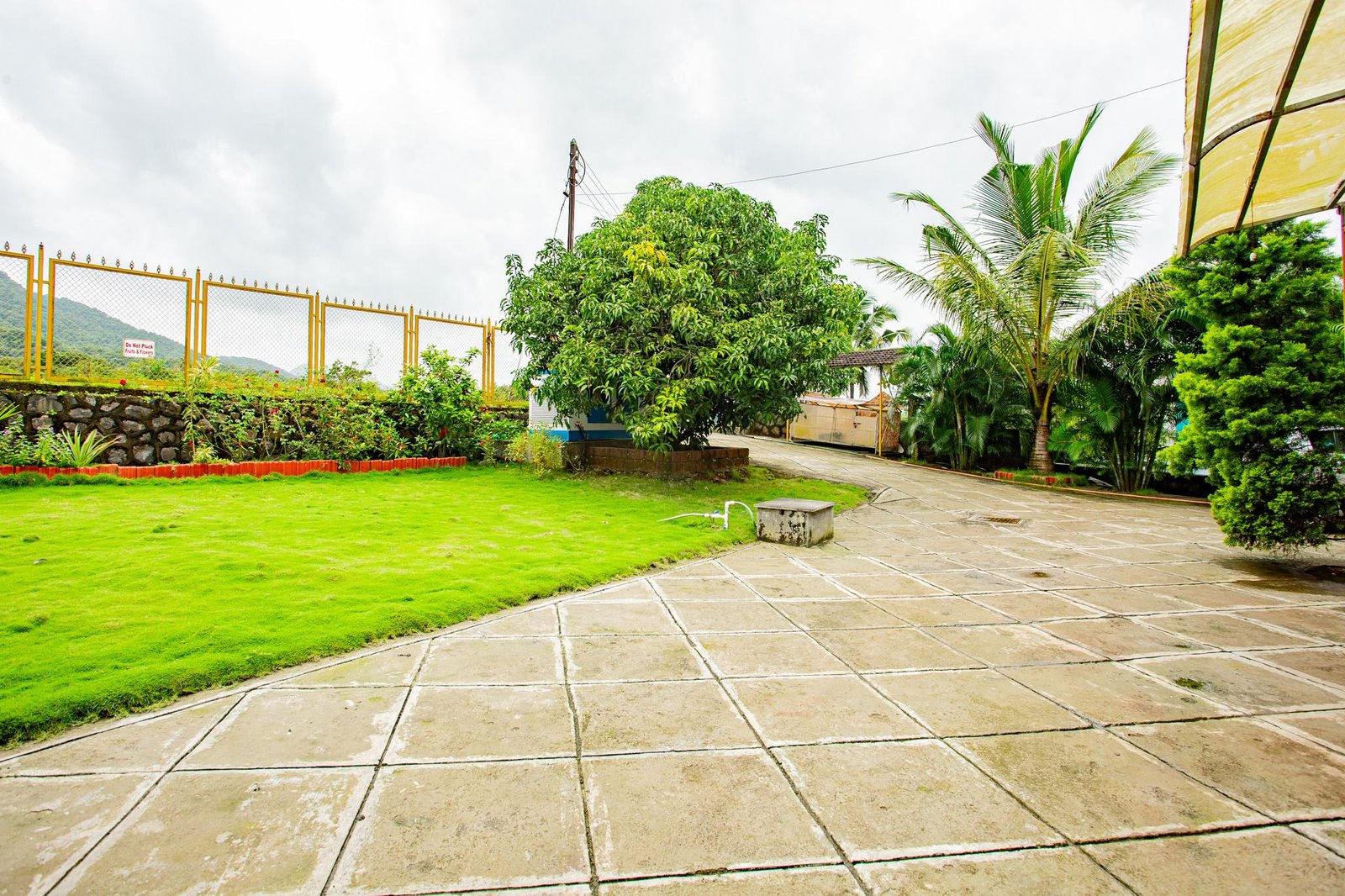 Tasa Farms Alibaug, Maharashtra x Solis Nature