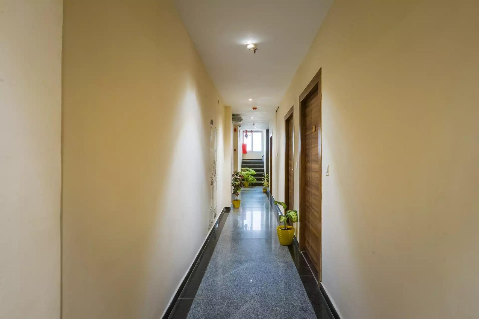 Tripli Hotels Le Shelton x Solis Nature