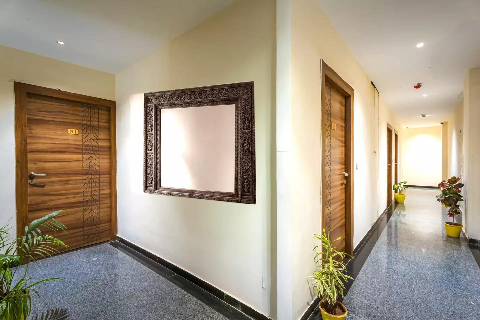 Tripli Hotels Le Shelton x Solis Nature
