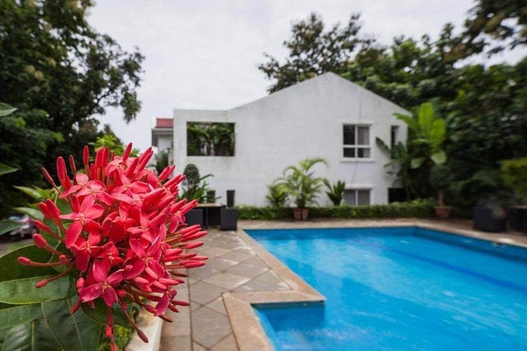 Casa D Amado by Casa D Living x Solis Nature