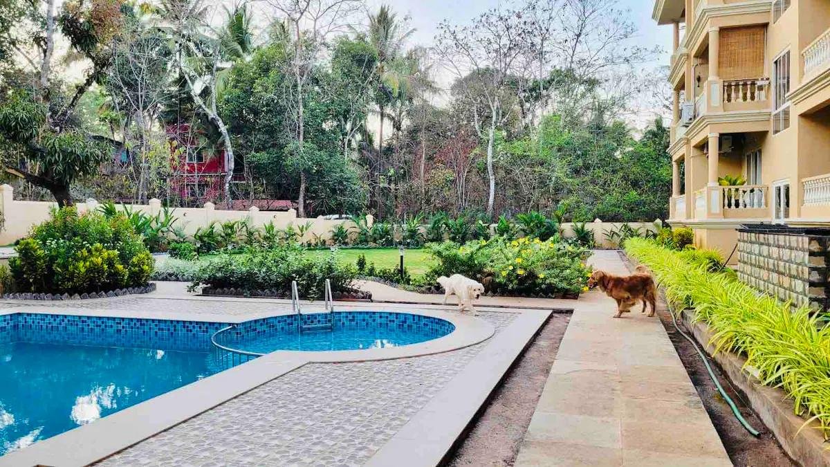 Casa D Pal by Casa D Living x Solis Nature