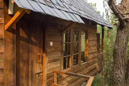 Jungle Bliss: A Wooden Cottage Near Hidden Trails x Solis Nature
