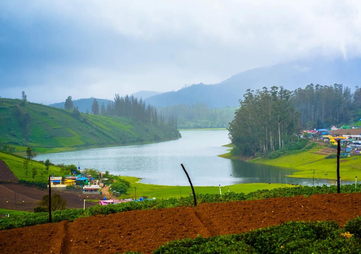 Room in a Villa at Ooty Valley near Avalanche lake x Solis Nature