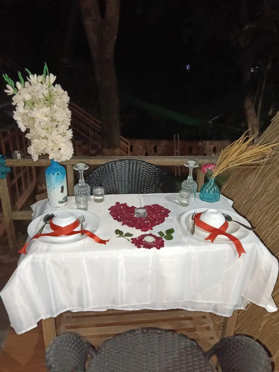 Mangifera Treehouse x Solis Nature