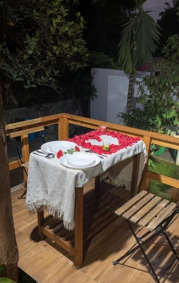 Mangifera Treehouse x Solis Nature