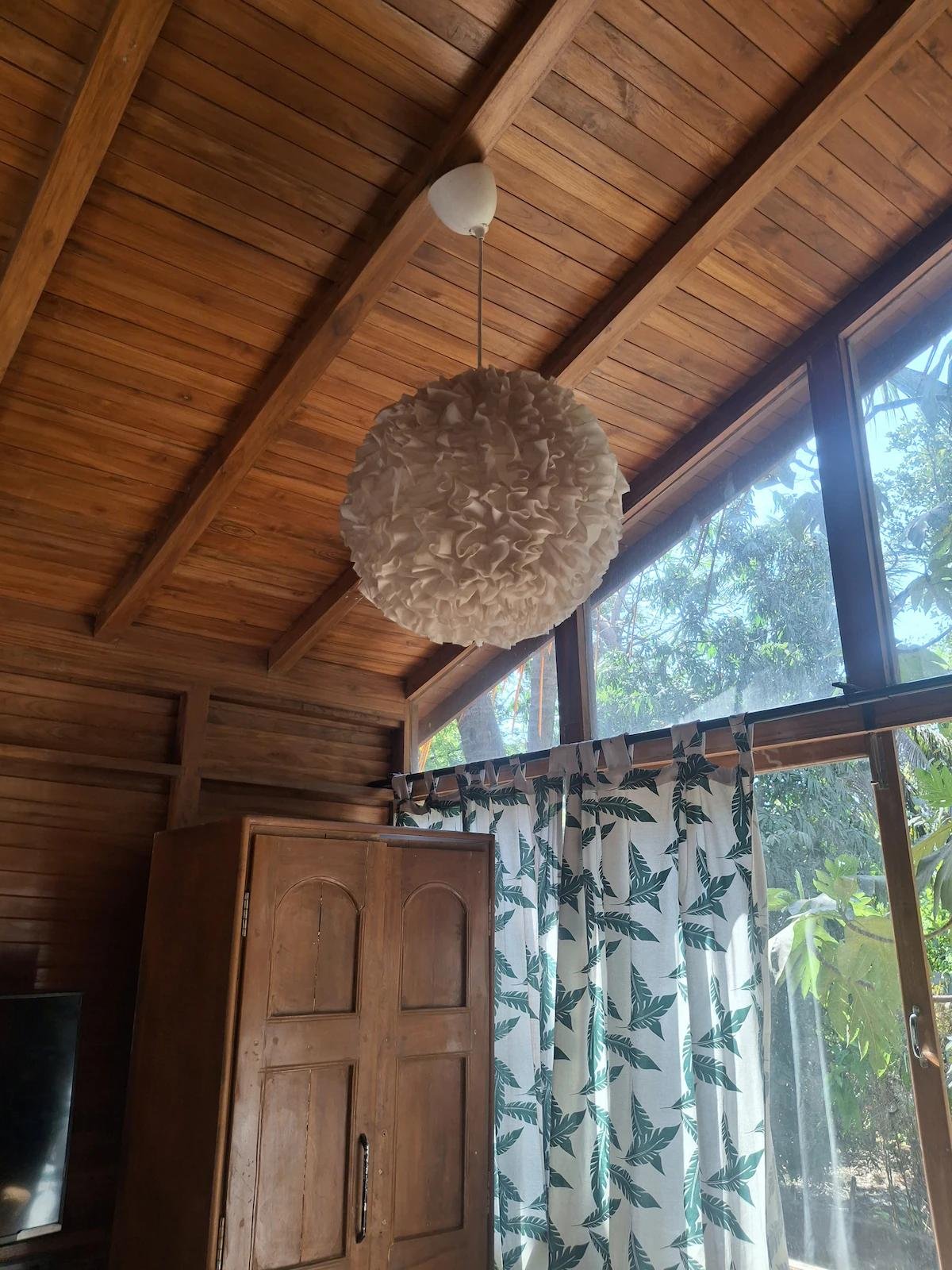 Mangifera Treehouse x Solis Nature