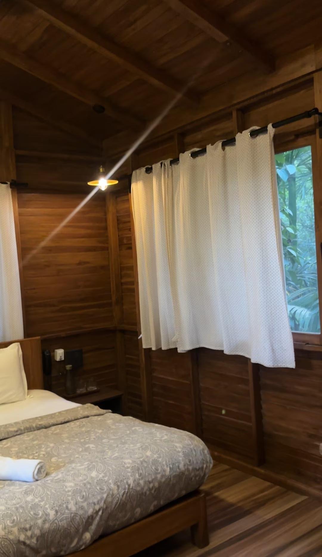Mangifera Treehouse x Solis Nature