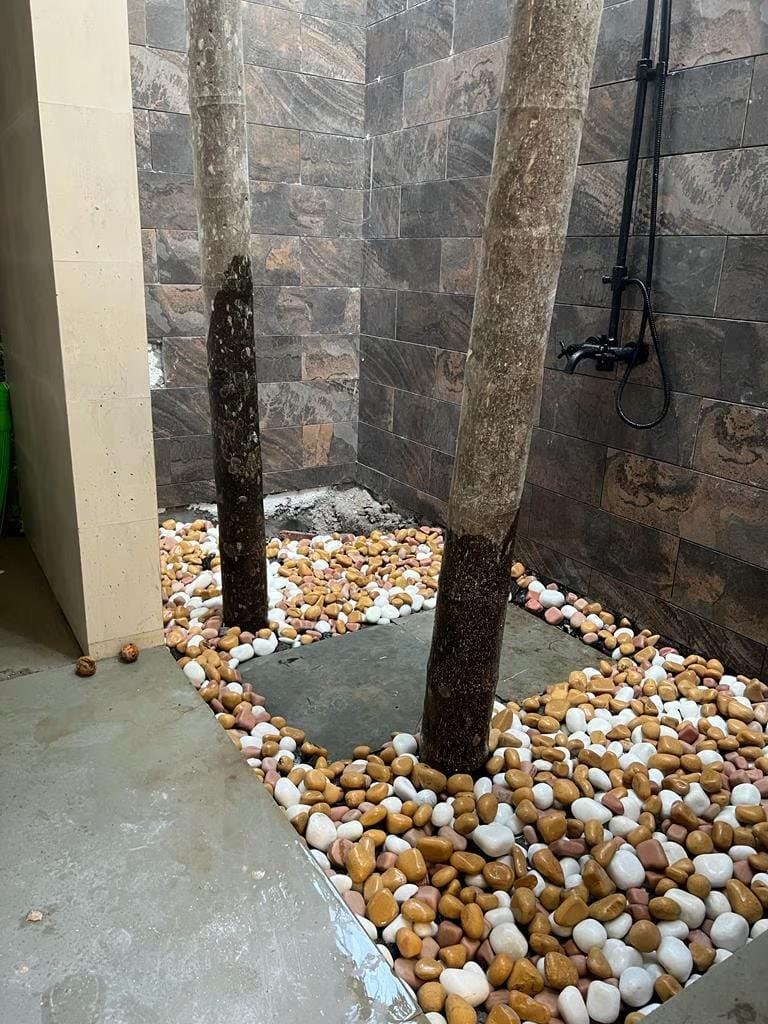 Areca Palm Villa-3BHK-Pool-bbq-Elixir Beach Farm x Solis Nature