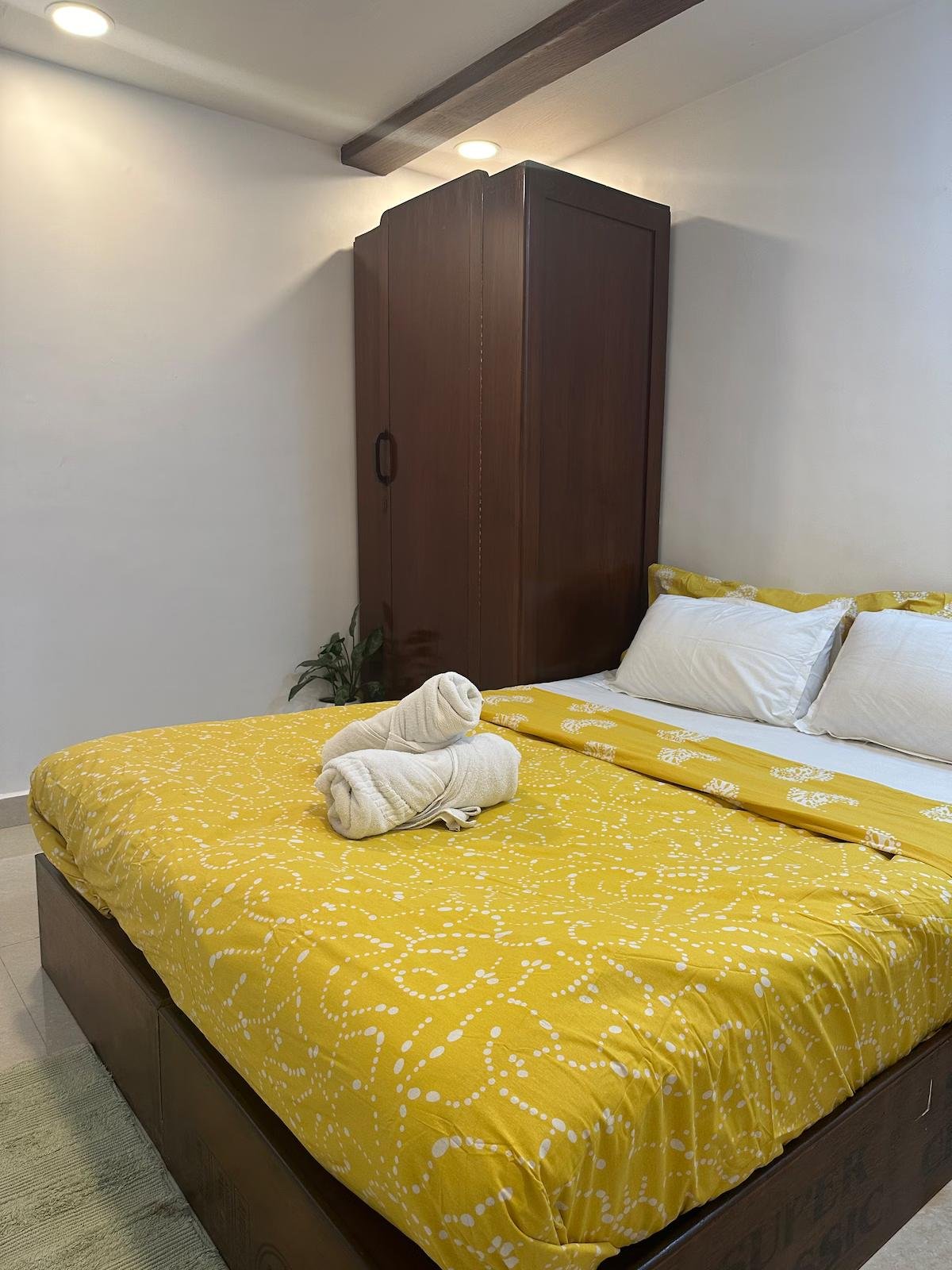 Elixir Homes-Rain Villa-3bhk villa, pool ,bbq x Solis Nature