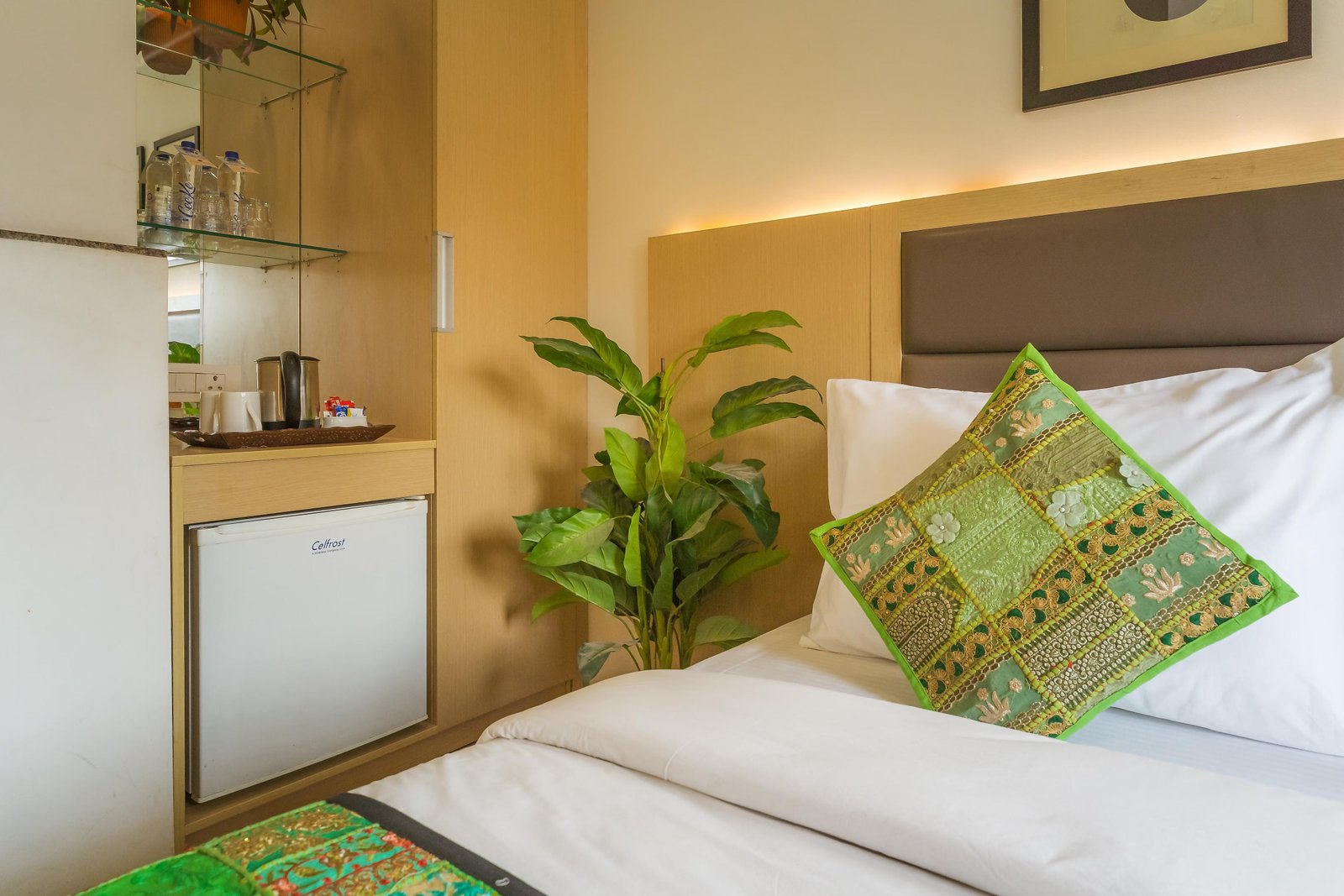 Tripli Hotels Shaurya Residency x Solis Nature