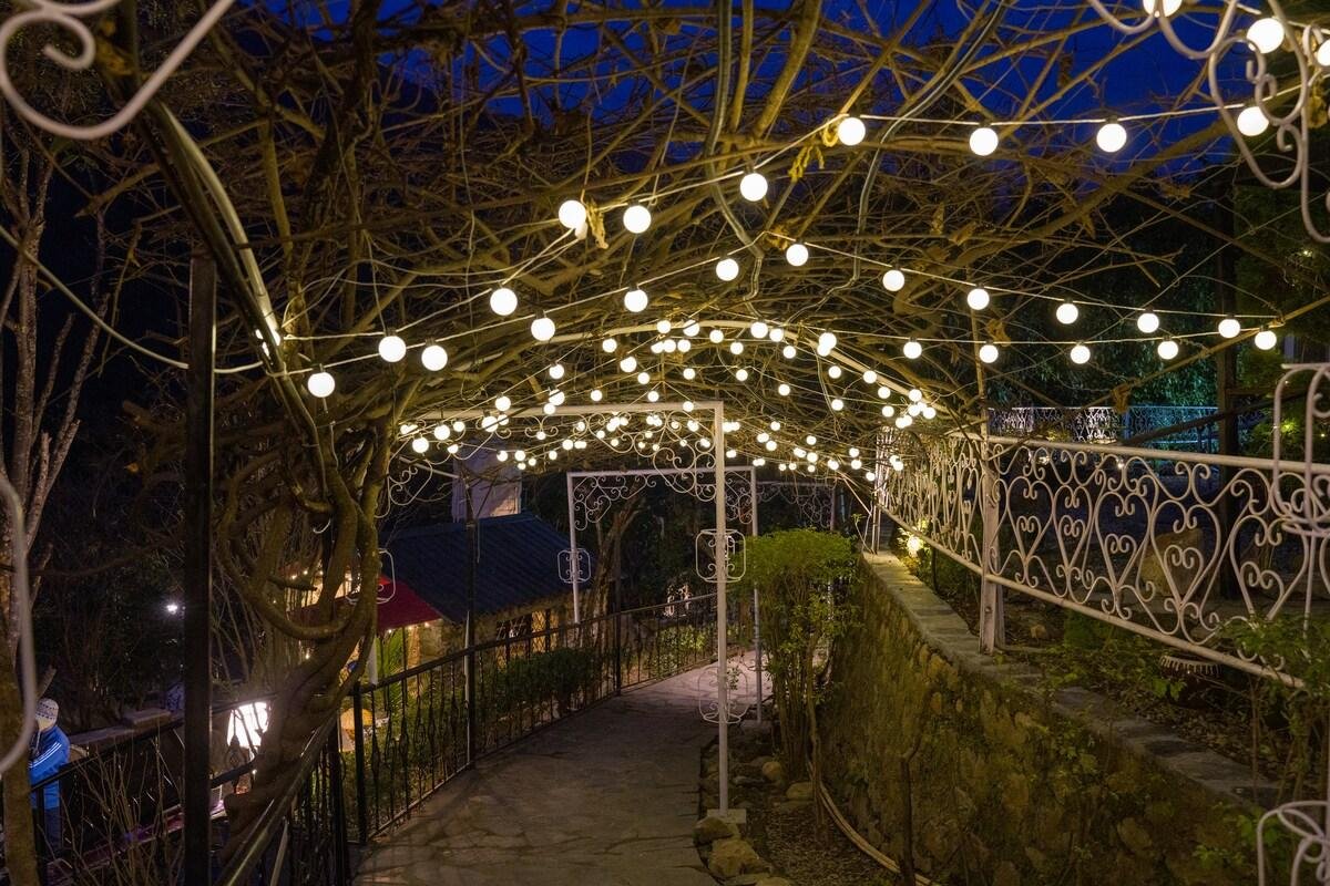 ELIVAAS Zephyr Classic Tent      Mussoorie x Solis Nature